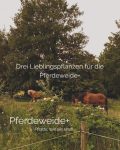 Drei Lieblingspflanzen für die Pferdeweide+

Viele weitere finden Sie im 'Wandern und grasen; mit Pferden unterwegs in der Landschaft- Wildpflanzen für Pferde'.

https://marshawijlhuizen.nl/meine-bucher-deutsch/

#natürlichepferdefütterung 
#wandernmitpferden
#Pflanzenwanderung 
#PflanzenfürPferde