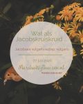 Wat als Jacobskruiskruid ... 
Jacobaea vulgaris subsp. vulgaris

Die felgele wuivende bloemen langs wegen, in weilanden, natuurgebieden en tuinen. Al jaren wordt er een discussie over gevoerd en het lijkt alsof deze discussie alleen maar grimmiger wordt. Er wordt met het vingertje gewezen naar Rijkswaterstaat, naar boeren, naar natuurbeschermingsorganisaties en laatst hoorde ik dat paardeneigenaren de schuldigen zouden zijn.

Maar wat als .... lees hier verder

https://marshawijlhuizen.nl/voeding/wat-als-jacobskruiskruid/

#wandelenmetpaarden
#natuurlijkepaardenvoeding
#plantenwandeling
#paardenplanten